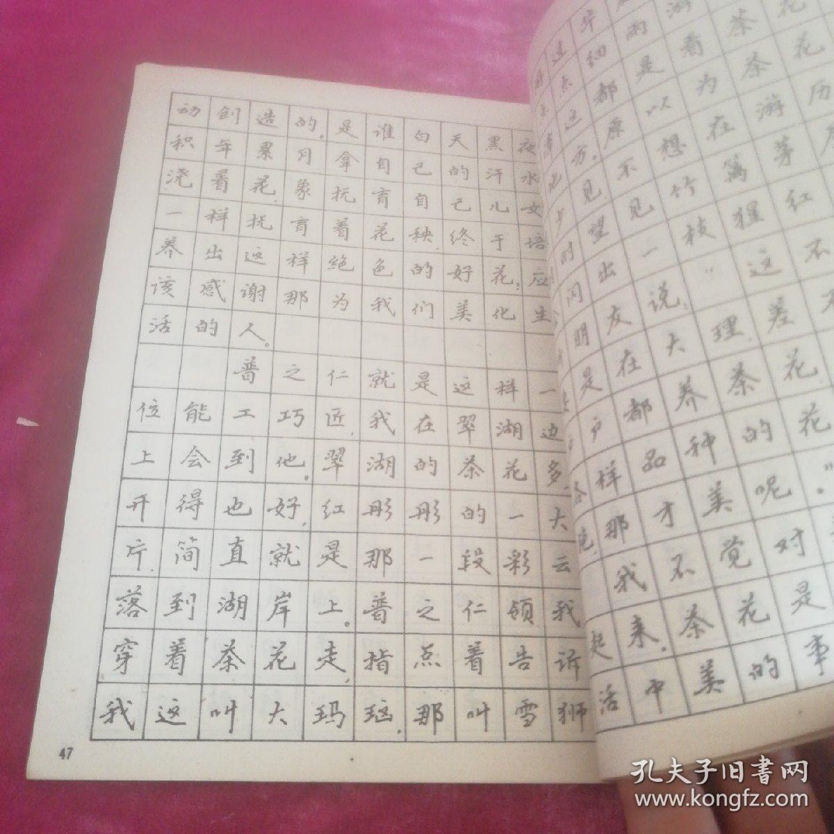 正楷行书钢笔字帖