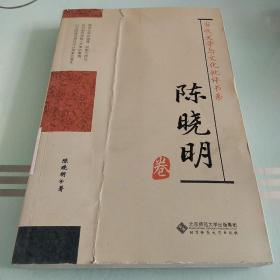 当代文学与文化批评书系：陈晓明卷