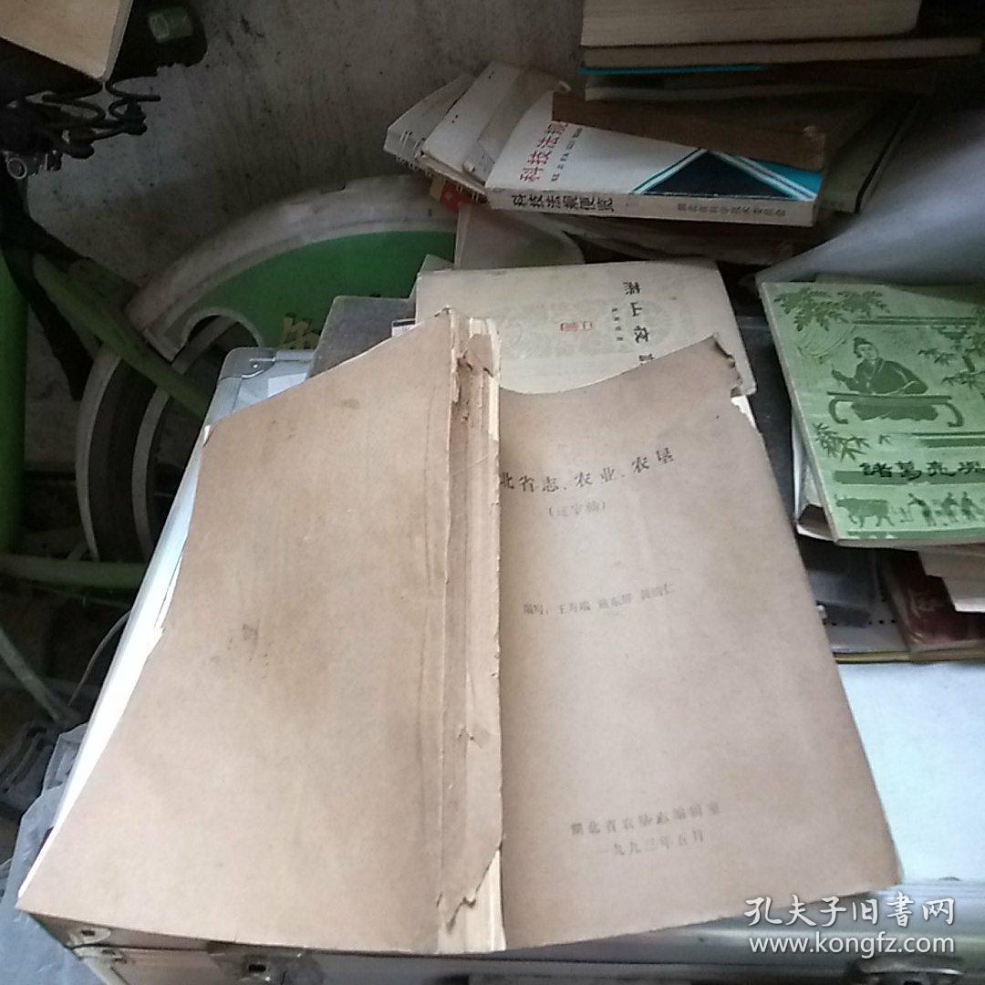 湖北省志农业农垦(送审稿)