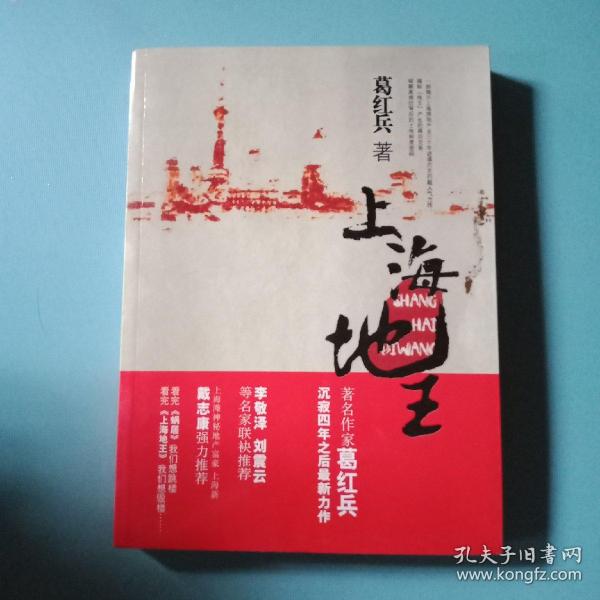 上海地王：(全国30多家报纸争相连载,上海滩神秘地产富豪戴志康强力推荐,揭示一代地王产生真相的超人气力作)