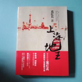 上海地王：(全国30多家报纸争相连载,上海滩神秘地产富豪戴志康强力推荐,揭示一代地王产生真相的超人气力作)