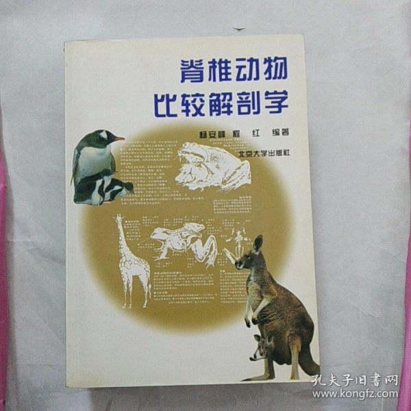 脊椎动物比较解剖学