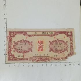 60年代股金证