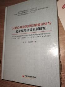 大型公共投资项目绩效评估与复杂风险决策机制研究