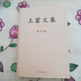 王蒙文集（41）