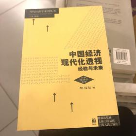 中国经济现代化透视：经验与未来