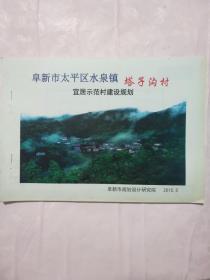 阜新市太平区水泉镇塔子沟村宜居示范村建设规划