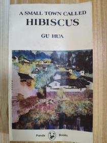A SMALL TOWN CALLED HIBISCUS