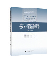 新时代知识产权理论与实践问题的法律分析