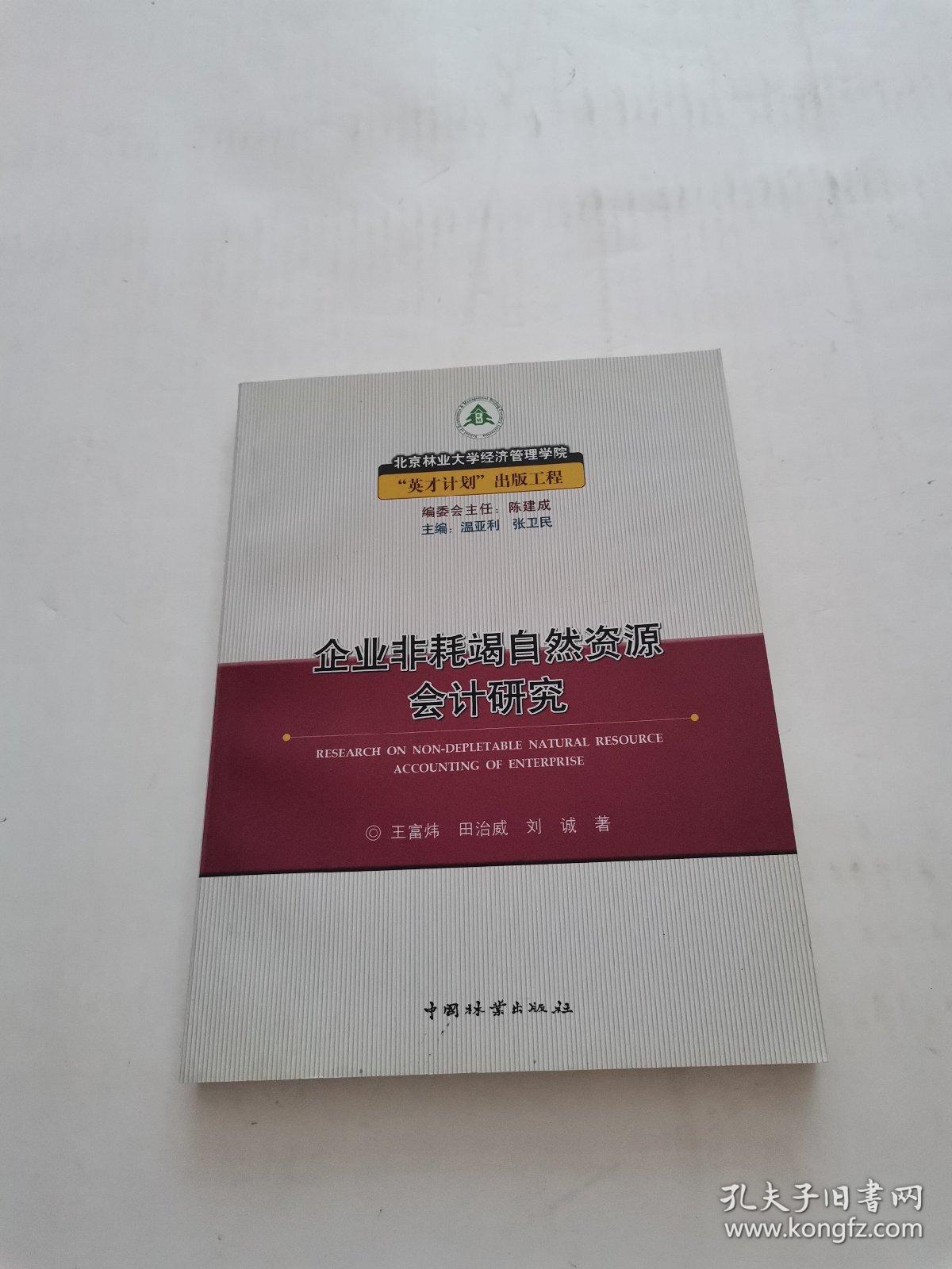 企业非耗竭自然资源会计研究