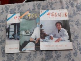 中国农村医学：1993年2，3，6（3本售）