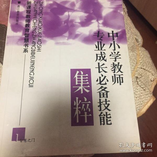 中小学教师专业成长必备技能集粹/新课程教师教育智慧书系