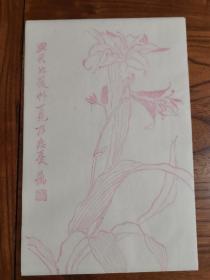 80年代木版水印老信笺：花卉笺1种1张，精致非常（净皮宣纸）