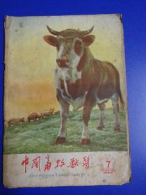 中国畜牧兽医，1960年7月