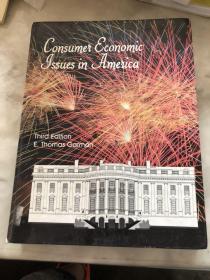 Consumer Economic Issues in America