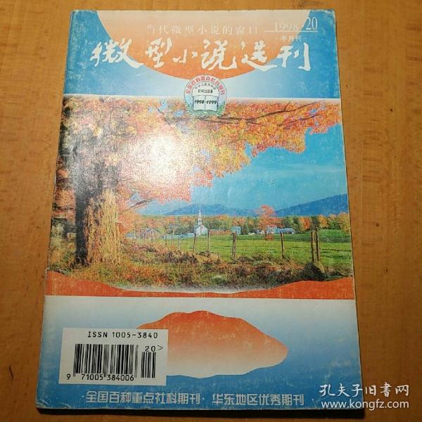 微型小说选刊