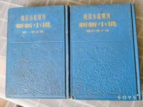 晚清小说期刊：新新小说（二册全）