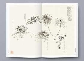 【正版】 中国花鸟画传统理法课徒稿  菊 画法解析 花瓣画法 花头画法 花头组合法 叶子画法 花苞画法