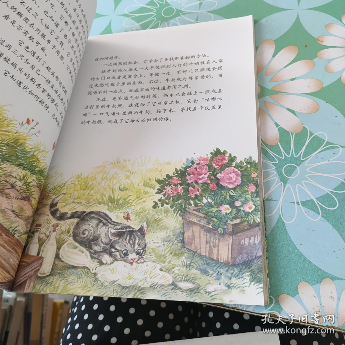 小木马童书 巷子里的野猫(彩绘版)(第三辑)