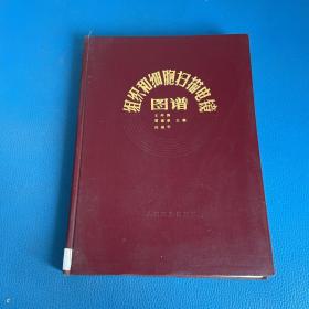 组织和细胞扫描电镜图谱