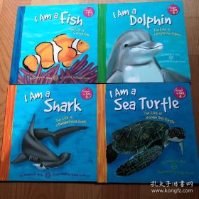 Under the Sea：I Am a  Fish、I Am a Dolphin、I Am a Shark、I Am a Sea Turfle、I Am  a  Sea  Horse、I Am a  Whale、I Am  a  Seal、I Am  an Ocfopus（1—8）和售