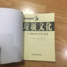 垃圾文化:通俗文化与伟大传统