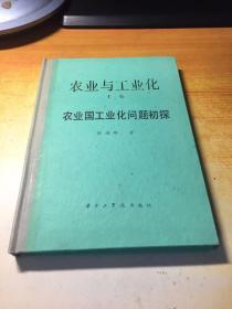 农业与工业化（上卷）：农业国工业化问题初探