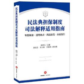 民法典担保制度司法解释适用指南(专题解读适用难点风险防范类案指引)、