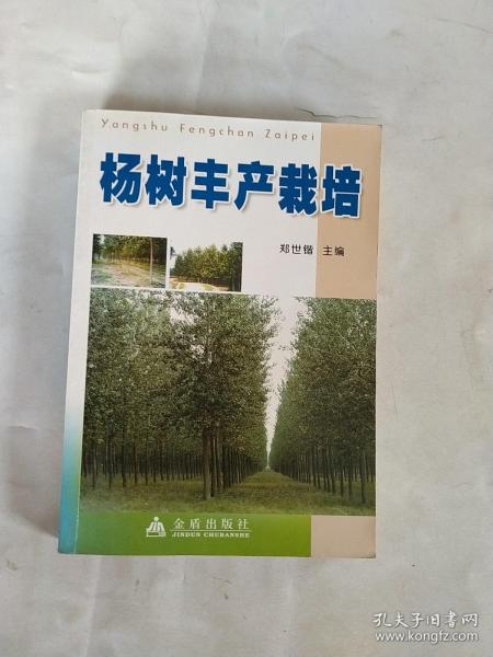 杨树丰产栽培