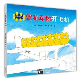 野猫军团系列  野猫军团开飞机