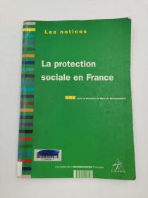 La protection sociale en France  (French Edition)法文