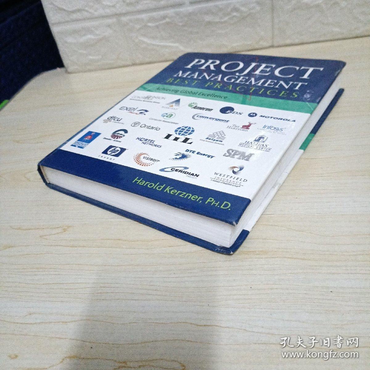 Project Management Best Practices: Achieving Global Excellence