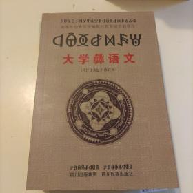 大学彝语文