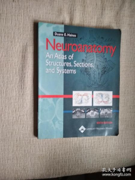 神经解剖学Neuroanatomy+CD