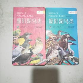 鄱阳湖鸟类(全两册)非雀形目+雀形目