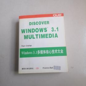 Windows 3.1 多媒体核心技术大全