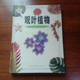 观叶植物（彩图版）