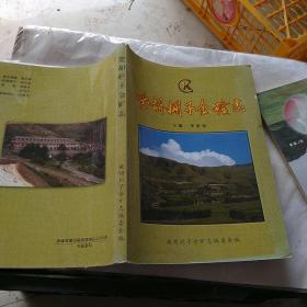 环境史研究系列丛书·传统府县社会经济环境史料（1912-1949）：以石家庄为中心