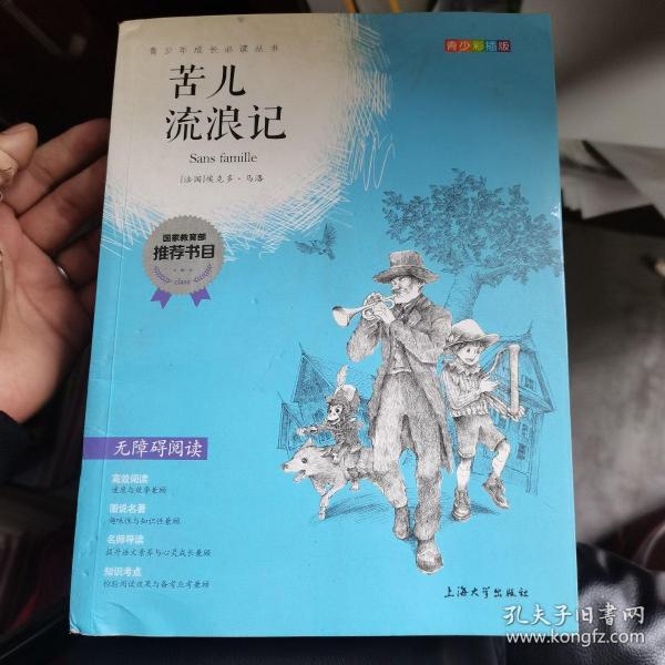 钟书图书·我最优阅·青少版彩插版·苦儿流浪记（第二辑）