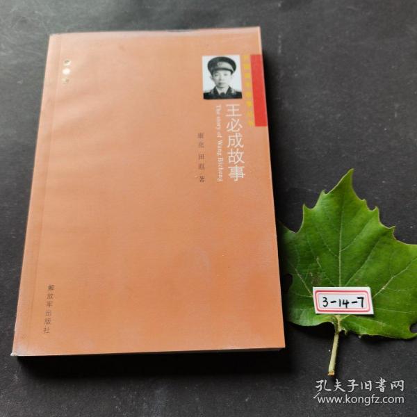 开国将军故事丛书：王必成故事