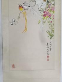 保真书画，山东老一辈画家，辛蕙伍精美花鸟画一幅，原装裱立轴，尺寸67.5×34cm。