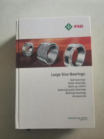 Large-Size Bearings