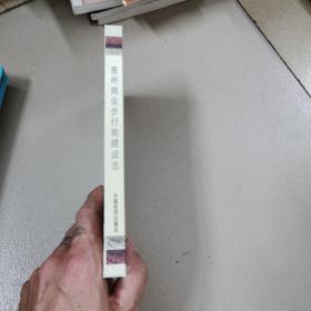 惠州商业步行街建设志