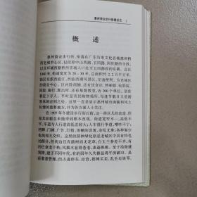 惠州商业步行街建设志