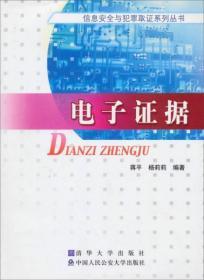 信息安全与犯罪取证系列丛书：电子证据