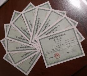 [新中国股票] 海南物业股份有限公司股权证 伍佰股 带荧光 带水印 防伪 标准10枚连号，号码随机 （图片仅供参考）