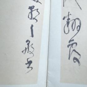 林散之书毛主席诗词草书字帖