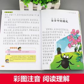 昆虫记 彩图注音版 法布尔原著 小学生课外阅读书籍 一年级二年级三年级必读儿童读物