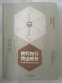 教师如何快速成长：专业发展必备的六大素养 大夏书系