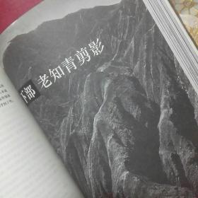 无声的群落（1964一1965）大巴山知青回忆录[上部 老知青回忆录 下部 老知青剪影 全一册D